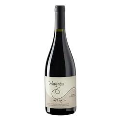 Mugron Blend Tinto 2023 - Salta
