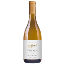 Colome Altura Maxima Sauvignon Blanc 2022 - Salta 3111 msnm 