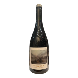 Nebbia Nebbiolo 2024 by Giuseppe Franceschini