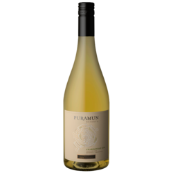 Puramun Reserva Chardonnay 2022 by Pepe Galante 