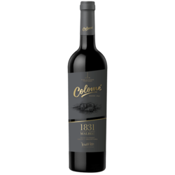 Colome 1831 Oldest Vines Malbec 2019
