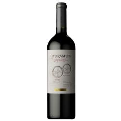 Puramun Cofermentado Malbec - Petit Verdot 2022 by Pepe Galante