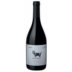 Vertebrado Pinot Noir 2022 by Via los Chocos 