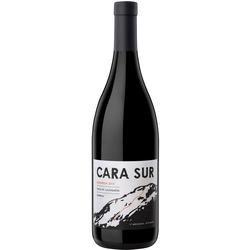 Cara Sur Tinto 2022 (Blend de Viejas Tintas) - 92+ pts. Robert Parker