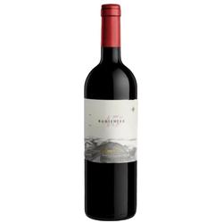 Otronia 45 Rugientes Merlot 2020 - Chubut 