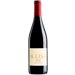 A Lisa Malbec 2024 by Bodega Noemia 