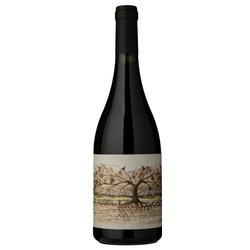 Almacen de la Quebrada Cachi Malbec 2020 by Alejandro Sejanovich & Diana Bellincioni