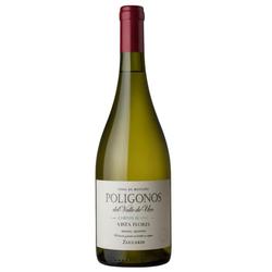 Poligonos del Valle de Uco Vista Flores Chenin Blanc 2022 - 92 pts. Robert Parker