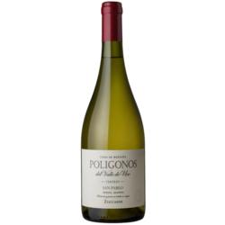 Poligonos del Valle de Uco San Pablo Verdejo 2024