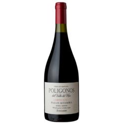 Poligonos del Valle de Uco Paraje Altamira Cabernet Franc 2022