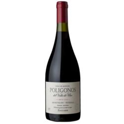 Poligonos del Valle de Uco Gualtallary Cabernet Franc 2023 