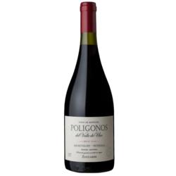 Poligonos del Valle de Uco Gualtallary Cabernet Franc 2022 