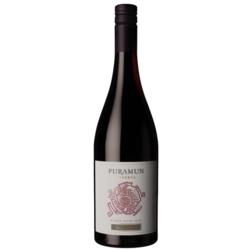 Puramun Reserva Pinot Noir 2021 by Pepe Galante