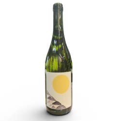Rocamadre Chenin Blanc 2025 by Juanfa Suarez 