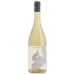 Livvera Malvasia 2022 by German Masera - Vino Naranjo - 92 pts. Robert Parker