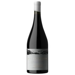 Monte Seler Malbec 2021 by Nando Parrado - 94 pts. Descorchados