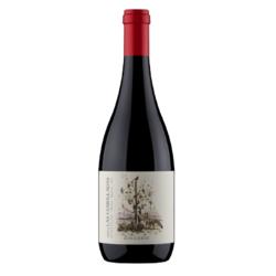 Zuccardi Finca Las Cerrilladas Malbec 2019 - 98 pts. Robert Parker 