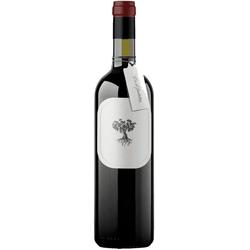 Cru de Gualtallary 2019 (Malbec - Cabernet Franc) by Rodrigo Calderon