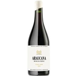 Araucana Rio de los Ciervos Pinot Noir 2020