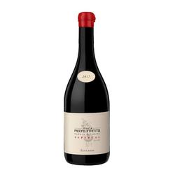 Zuccardi Finca Piedra Infinita Supercal Malbec 2019 - 100 pts. Robert Parker