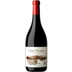 Zuccardi Finca Piedra Infinita Malbec 2020 - 98 pts. Robert Parker - En Primeur!