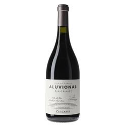 Zuccardi Aluvional Gualtallary Malbec 2020 - 97 pts. Robert Parker