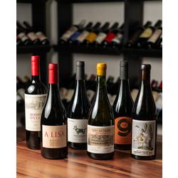 Seleccin x6 Botellas - Los Vinos Mas Vendidos del 2024 - BEST SELLERS!