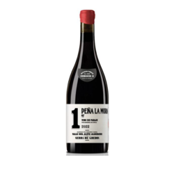 Comando G 1er Cru Pea La Mora 2022 DOP Cebreros - Espaa