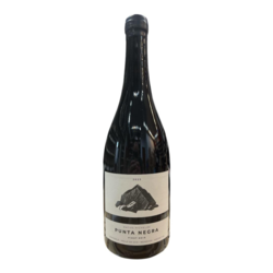Matias Michelini Punta Negra Pinot Noir 2023