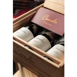Lunes 28/4 18Hs. #DegusEnOzono Salentein Cornelie Pinot Noir, su linea icono!