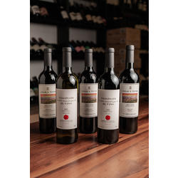 Martes 19/8 #DegusEnOzono Bodega Arca Yaco dirigida por Matias Etchart