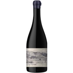 Un Lugar en los Andes Pinot Noir 2021 by Sebastian Zuccardi & Walter Scibilia