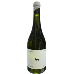 Colmillo Chardonnay 2024 by Via Los Chocos