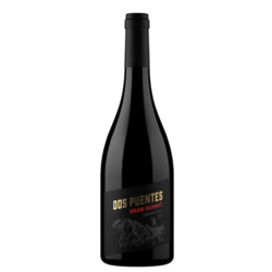 Gran Summit Cabernet Franc 2018 By Dos Puentes 