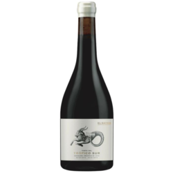 Tropico Sur Cabernet Franc 2023 by Bodega El Bayeh