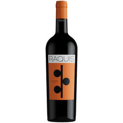 Raquis Las Bases Malbec 2023 by Andres Vignoni